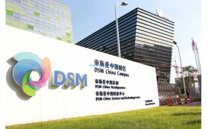 DSM 帝斯曼 全球優質化妝品防曬原料生產廠家